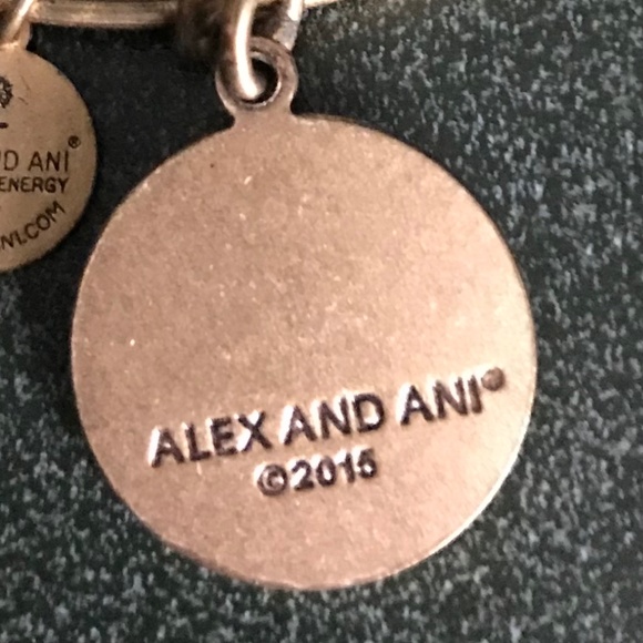 Alex and Ani Expandable Wire Bangle Bracelet 2015 - Picture 13 of 13